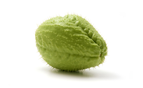 CHAYOTE CON ESPINAS