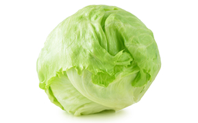 LECHUGA BOLA