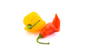 CHILE HABANERO