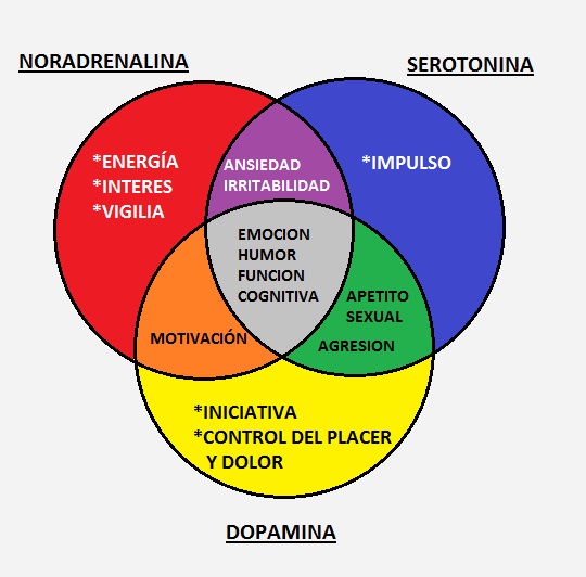 Que es la serotonina dopamina y noradrenalina